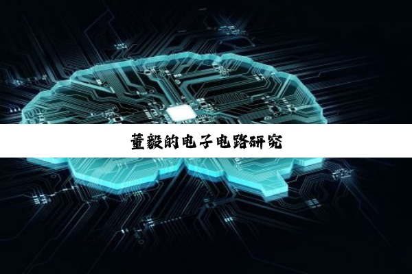 董毅的电子电路研究